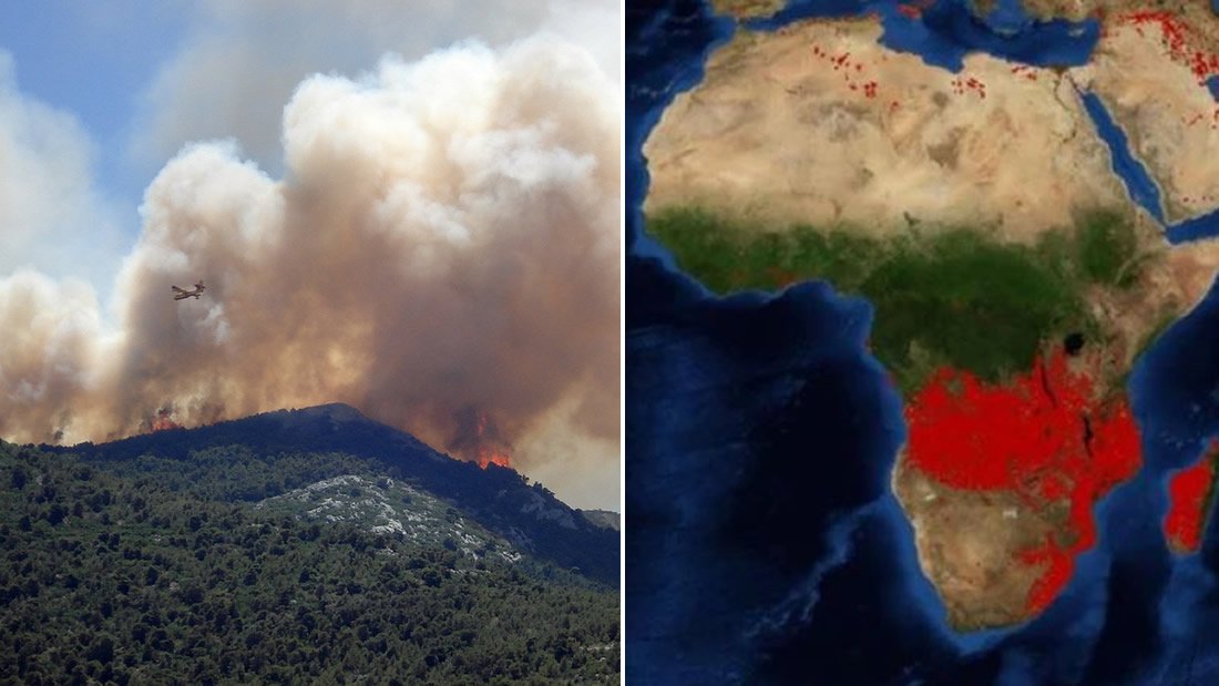África también arde: el segundo pulmón verde está en llamas