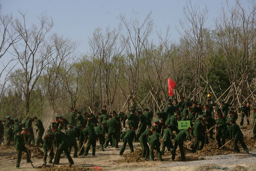 Gobierno de China ordena plantar árboles a 60.000 soldados