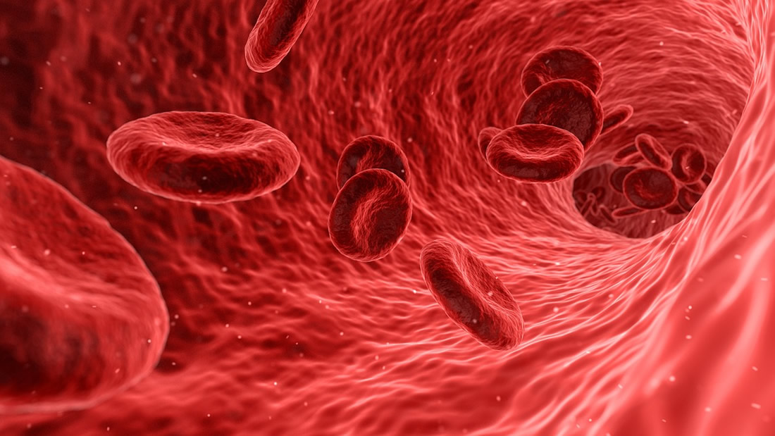 Científicos japoneses crean sangre artificial que podría administrarse a todos los tipos de sangre