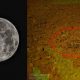 Revelan nuevas imágenes de extraña sustancia «similar a gel» hallada en la Luna
