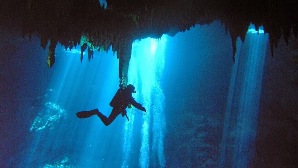 Hallan dientes de Megalodón en una red de cuevas interiores en México