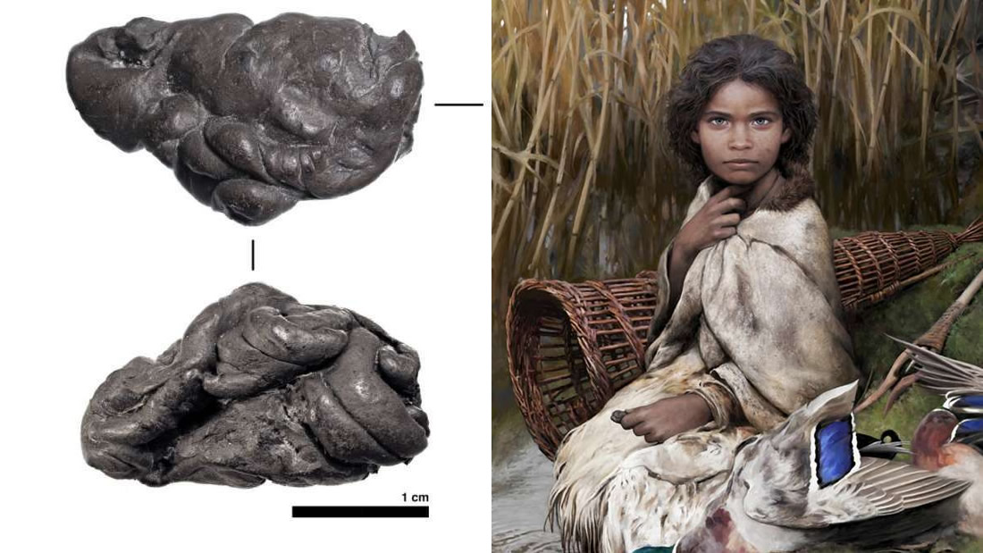 Goma de mascar de 5.700 años revela genoma humano completo