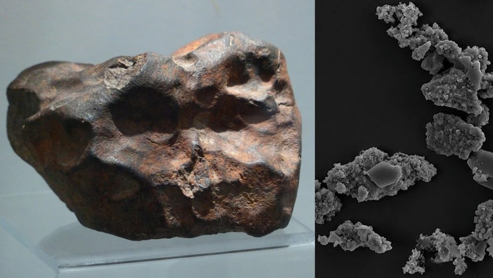 Identifican un organismo que se alimenta de meteoritos