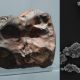 Identifican un organismo que se alimenta de meteoritos