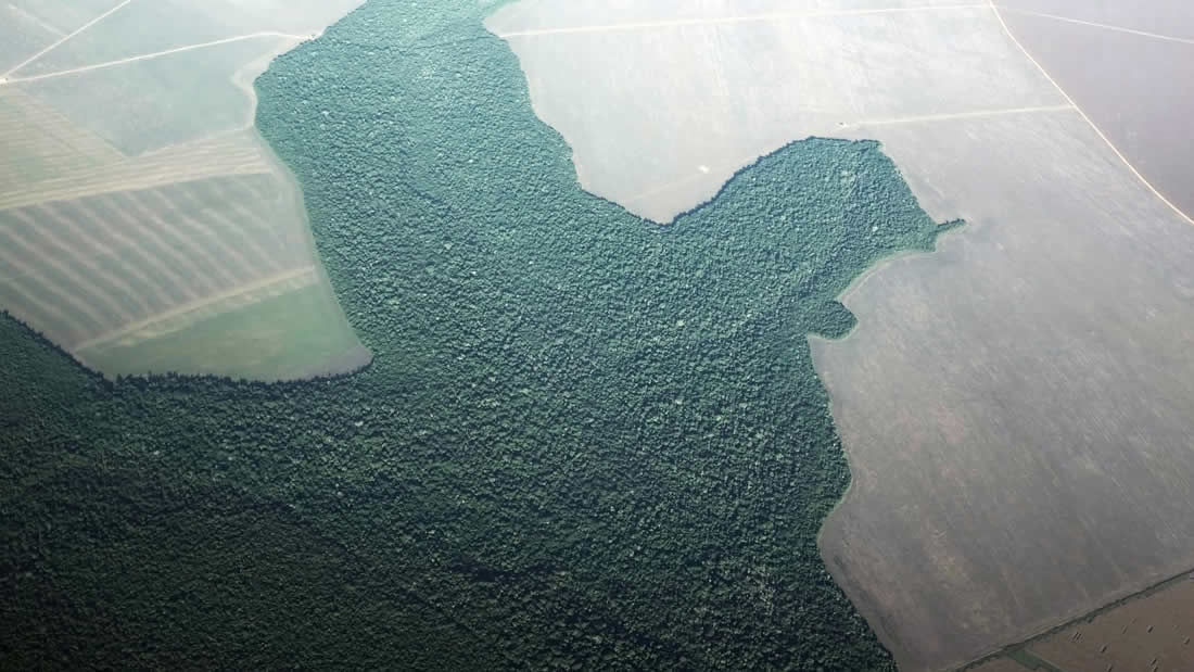 La Amazonía está a punto de cruzar un umbral irreversible, según principales científicos