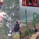 Parque temático en China «obliga» a cerdo a realizar puenting