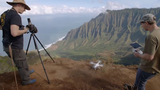 Botánicos están buscando plantas en peligro de extinción con drones, luego escalan acantilados para salvarlas (Vídeo)