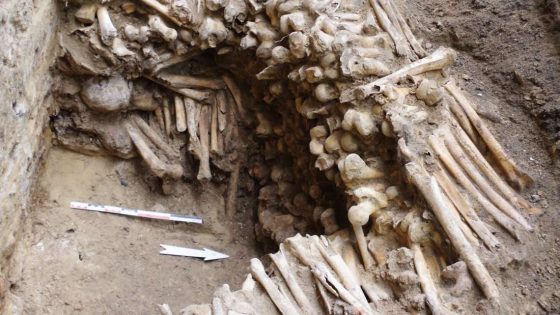 Muralla medieval de huesos humanos hallada en Bélgica