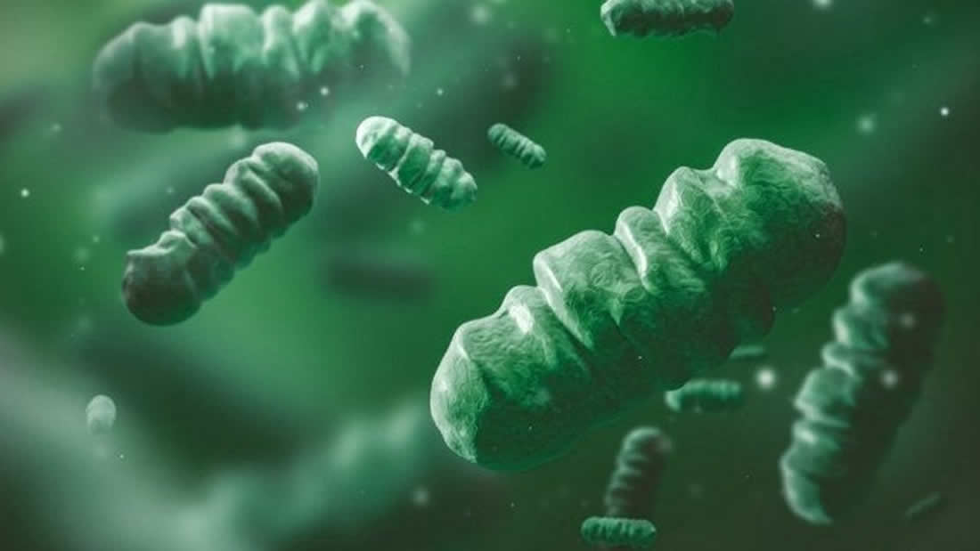 Científicos diseñan bacterias fotosintéticas para producir hidrógeno