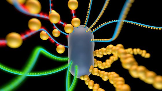 Compañía de biología sintética usará bacterias vivas y de ingeniería contra el cáncer