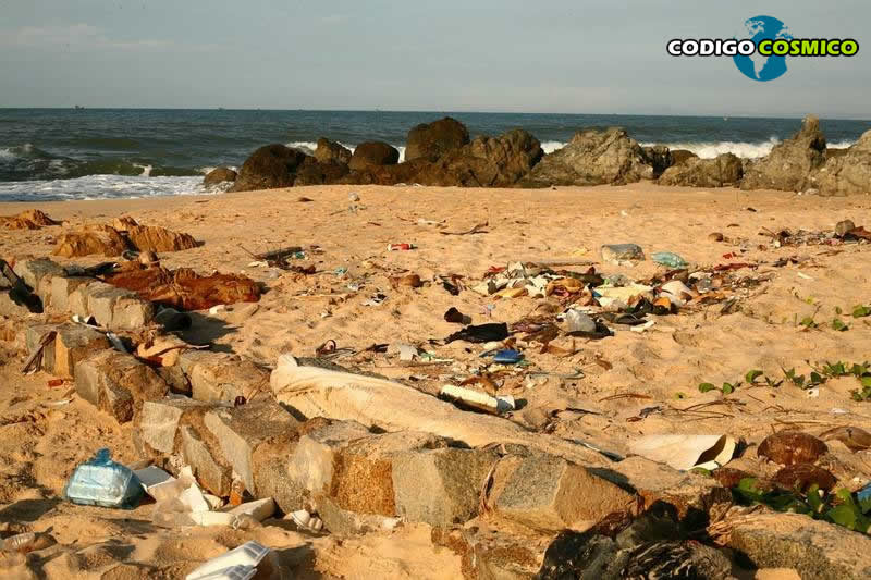 Revelan el misterio del plástico perdido del océano