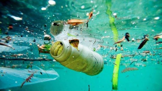 Revelan el misterio del plástico perdido del océano