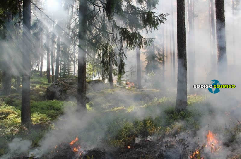 Incendios forestales en el Ártico: 5 razones por las que el mundo entero debería preocuparse