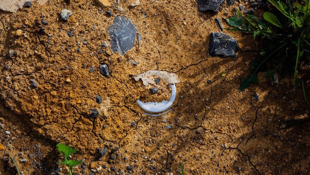 Microplásticos y nanopartículas están causando extinción de suelos