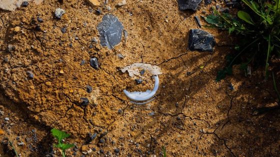 Microplásticos y nanopartículas están causando extinción de suelos
