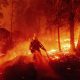 Científicos advierten que incendios y fenómenos meteorológicos extremos empeorarán