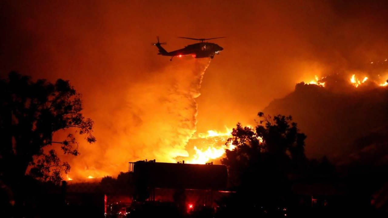 Bosques perdidos por incendios forestales en California nunca volverían a crecer