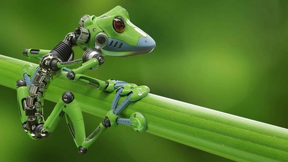 Xenobots: robots vivos creados a partir de células madres de rana