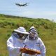 Aeropuerto Internacional ayuda a apicultores a salvar a las abejas