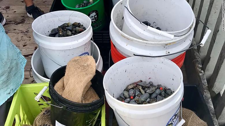Buzos limpian una playa de Florida y recolectan cientos de kilogramos de basura