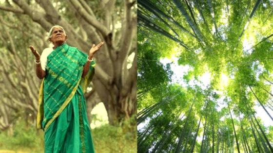 No tuvo hijos pero plantó miles de árboles en la India por más de 70 años