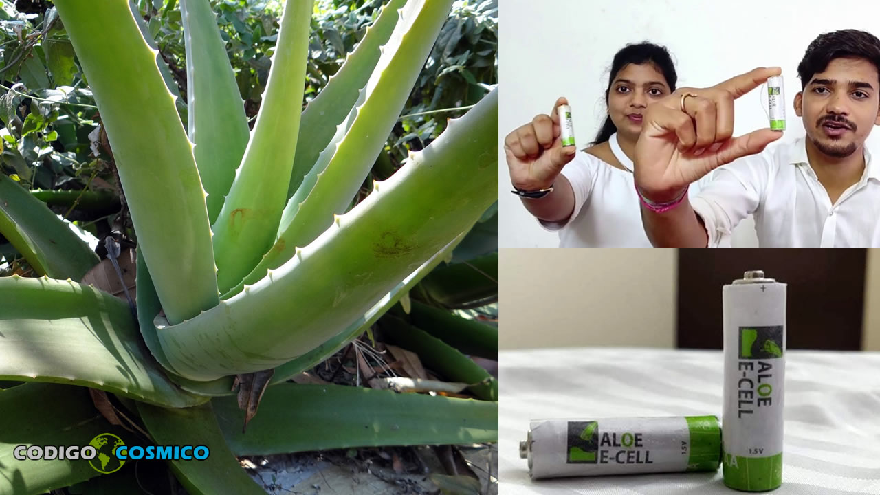 Emprendedores crean la primera batería de Aloe Vera 100% ecológica y no peligrosa