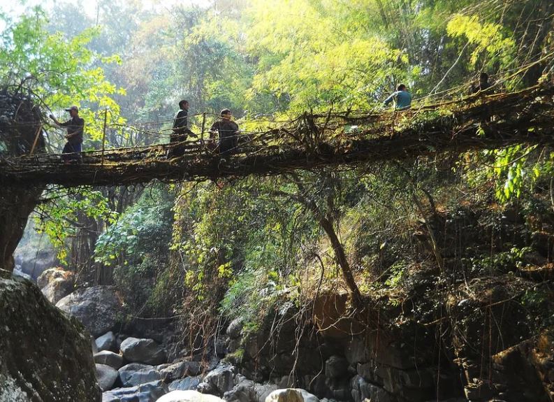 Turistas pasan por un puente raíz viviente en Mawlynnong, Meghalaya
