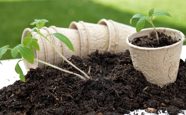 ¿Qué es la jardinería sostenible?